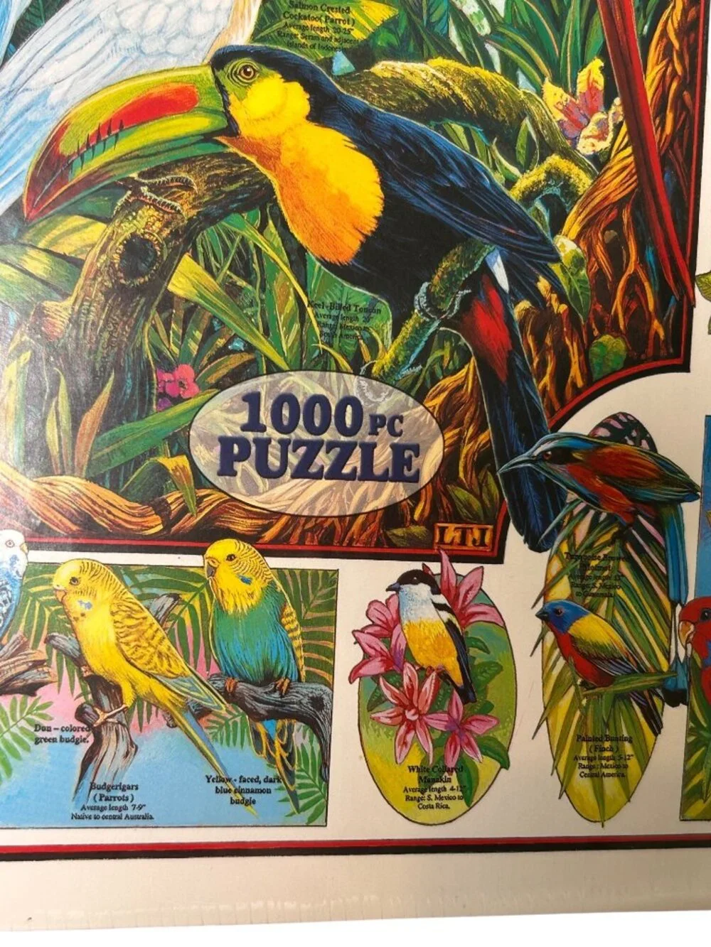 NEW Birds Of Paradise 1000 Piece Puzzle White Mountain Puzzles Tropical Bird USA